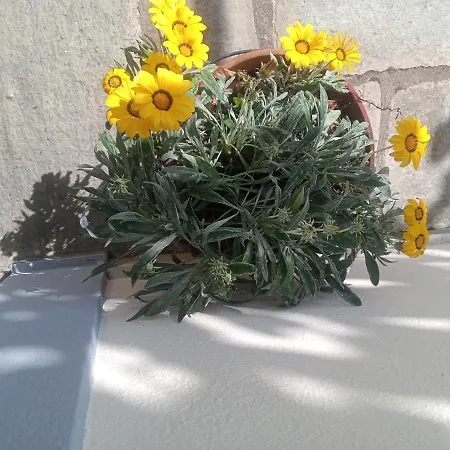 Apartament Kallisti Anilio Pelion