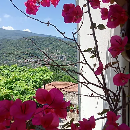 Kallisti * Anilio Pelion