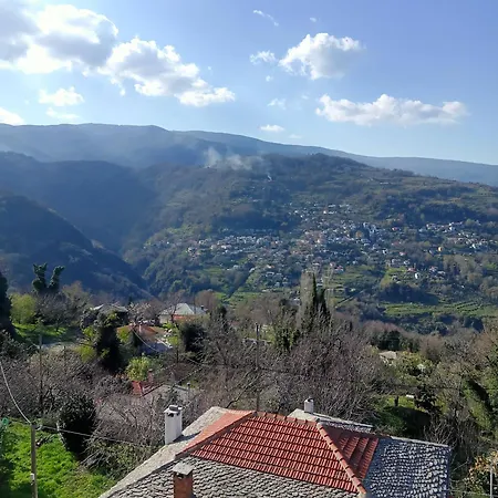 Kallisti