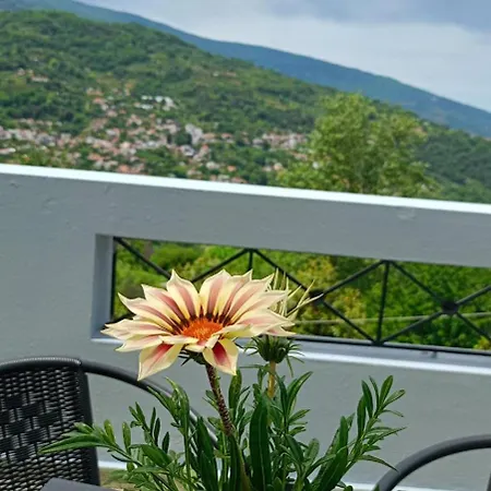 Kallisti Apartament *